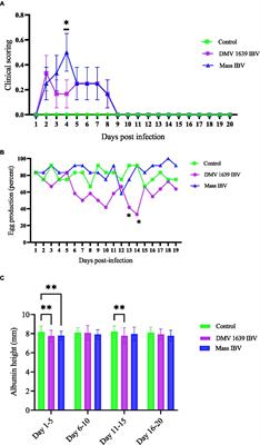 Comparative pathogenicity of infectious bronchitis virus Massachusetts and Delmarva (DMV/1639) genotypes in laying hens